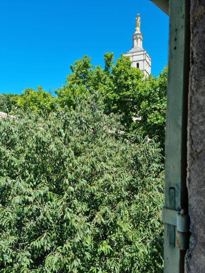 شقة Un Nid Sur Les Toits Face Au Palais Des Papes أفينيون المظهر الخارجي الصورة
