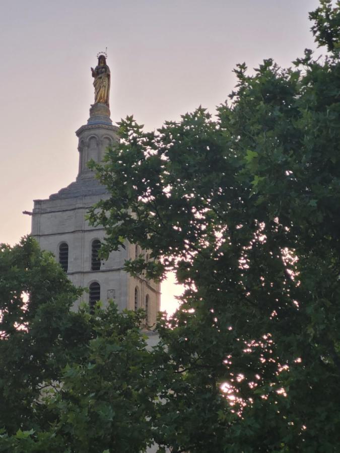 شقة Un Nid Sur Les Toits Face Au Palais Des Papes أفينيون المظهر الخارجي الصورة