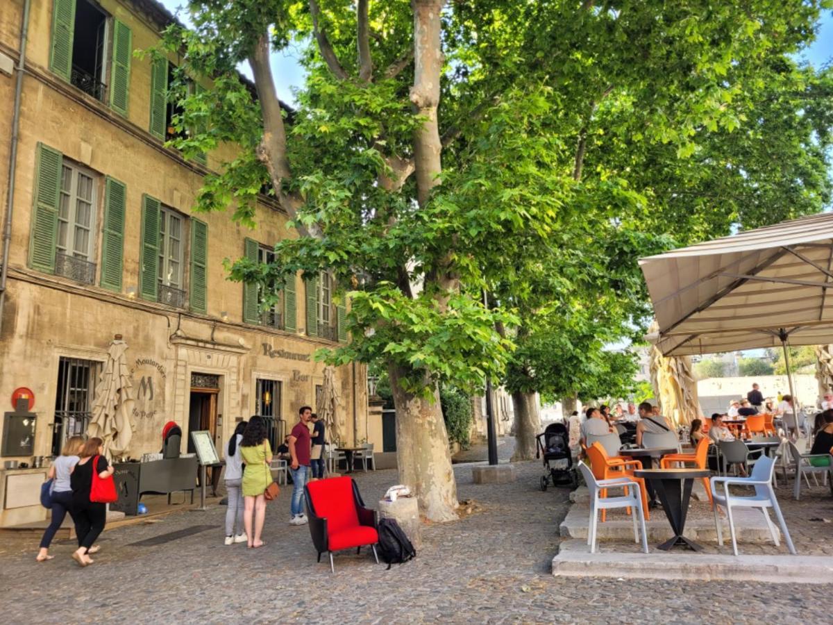شقة Un Nid Sur Les Toits Face Au Palais Des Papes أفينيون المظهر الخارجي الصورة