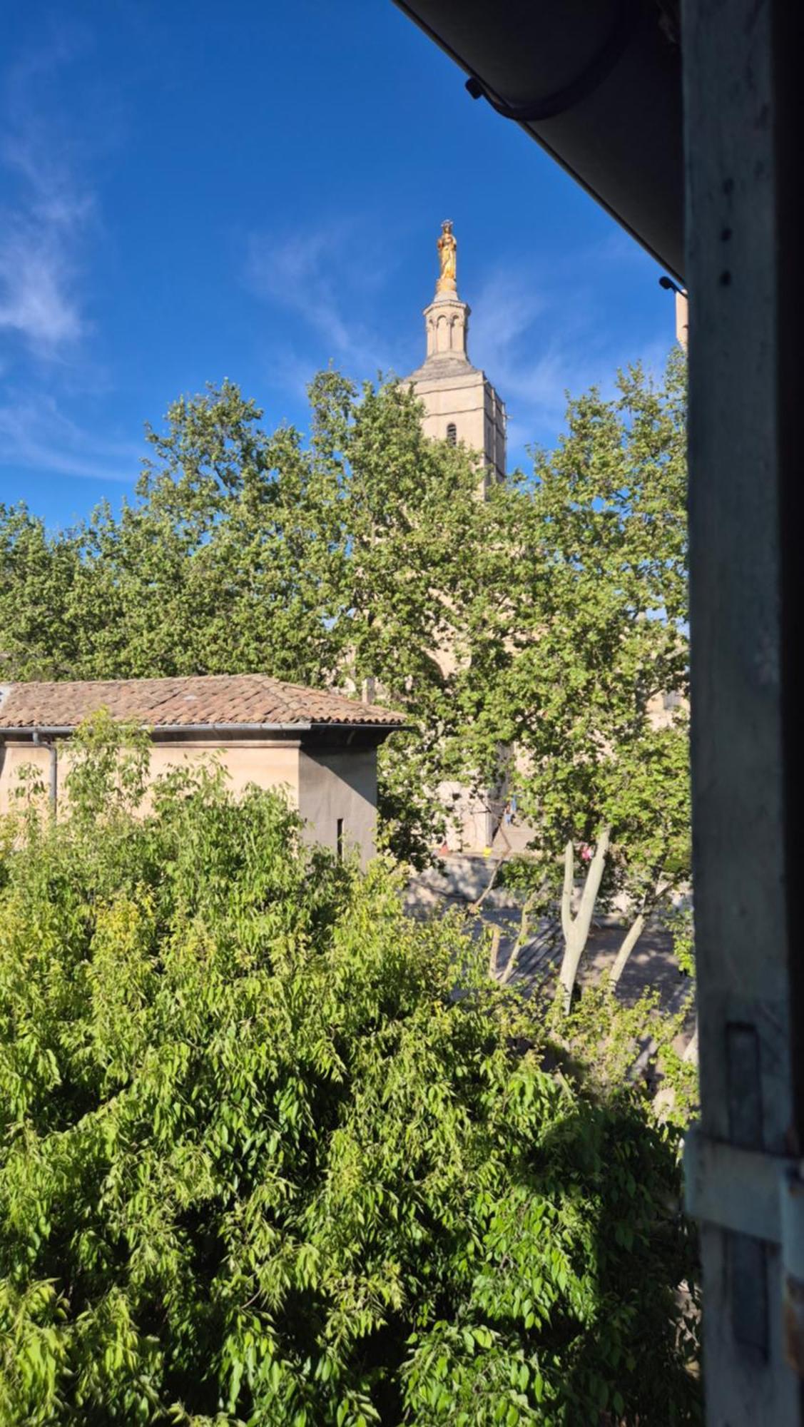 شقة Un Nid Sur Les Toits Face Au Palais Des Papes أفينيون المظهر الخارجي الصورة